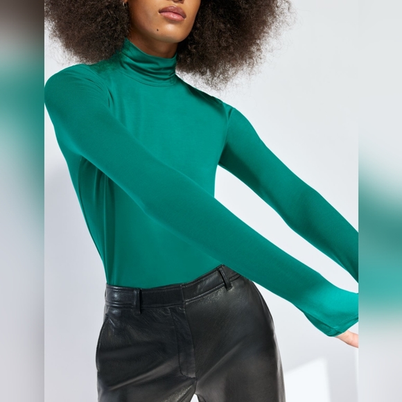 Aritzia Babaton New Slim Turtleneck - Picture 3 of 6